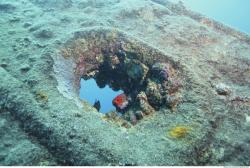 Photo Reference of Umbria Wingate Reef - Sudan